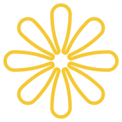 赛事详情 - kaiyun.com