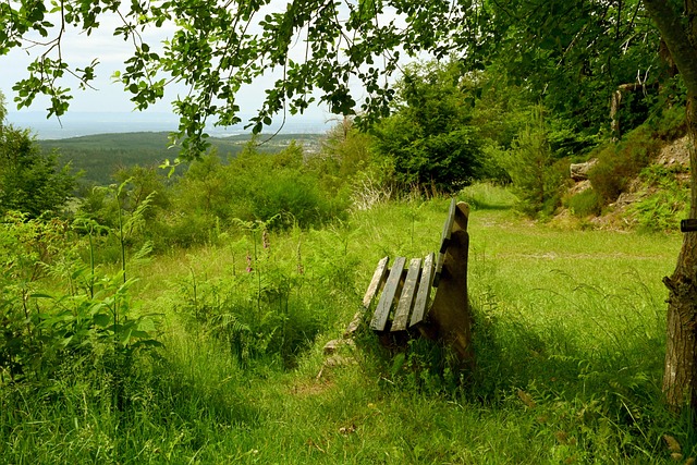 有成功也有 有成功也有