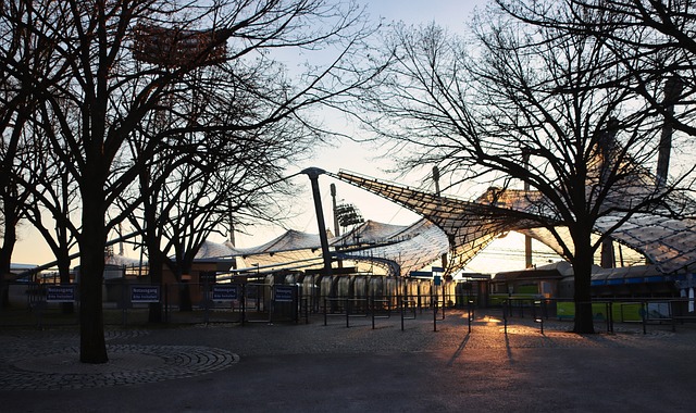 智汇合肥弈 智汇合肥弈