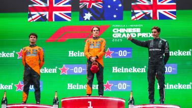 年轻组合的 年轻组合的