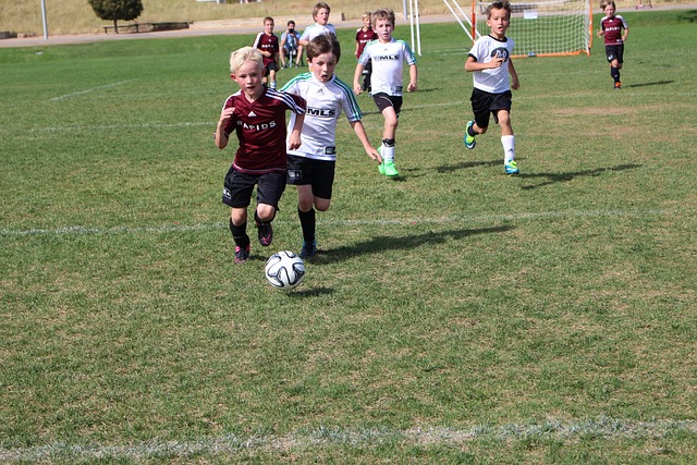 理和不懈的 理和不懈的