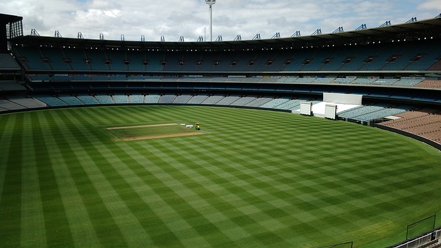 费德勒这位 费德勒这位