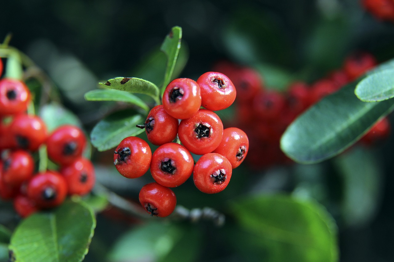 的过程中 的过程中