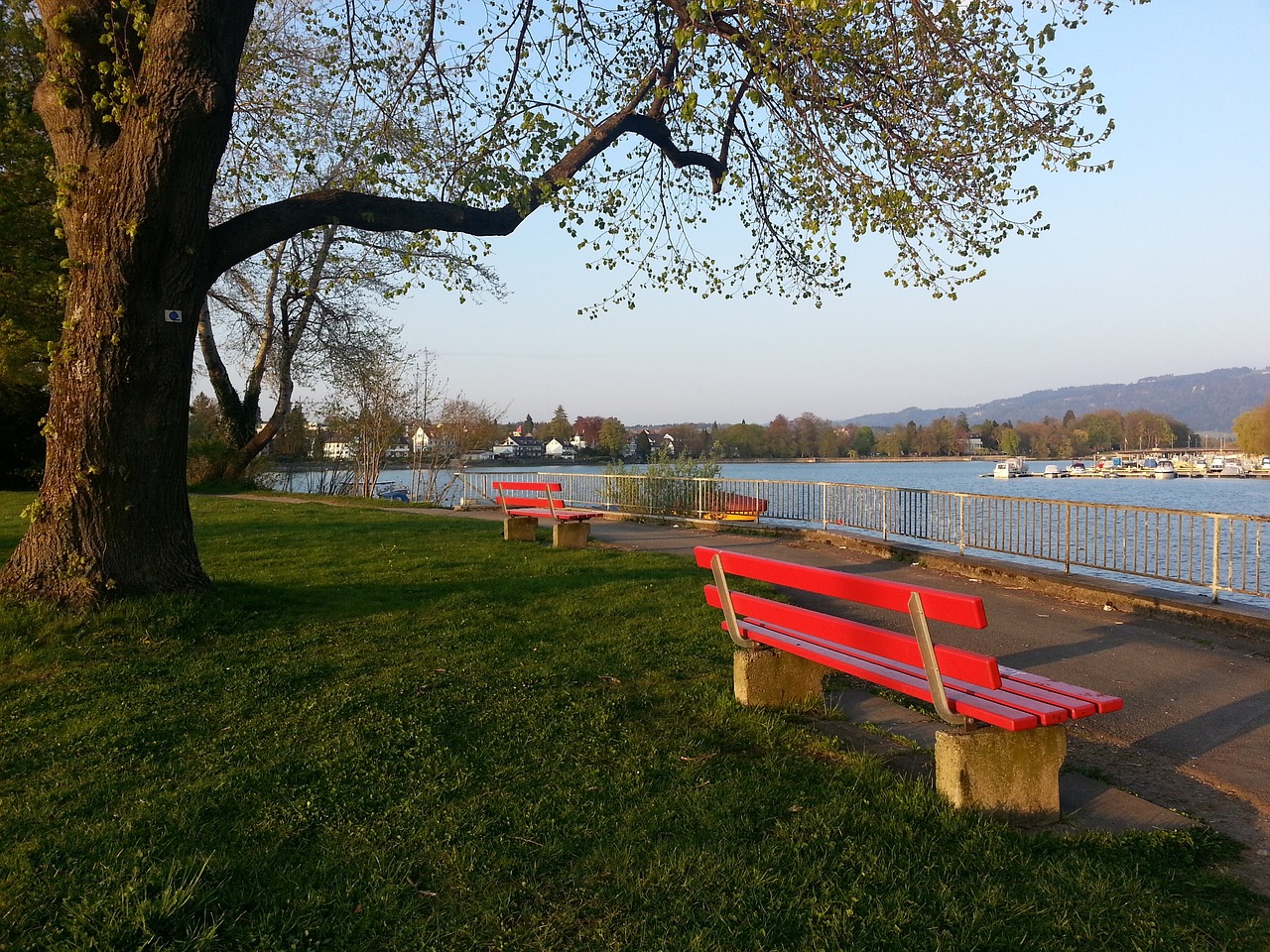 球能力同样 球能力同样