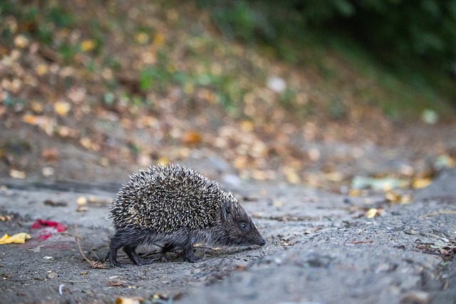 提升自我 提升自我