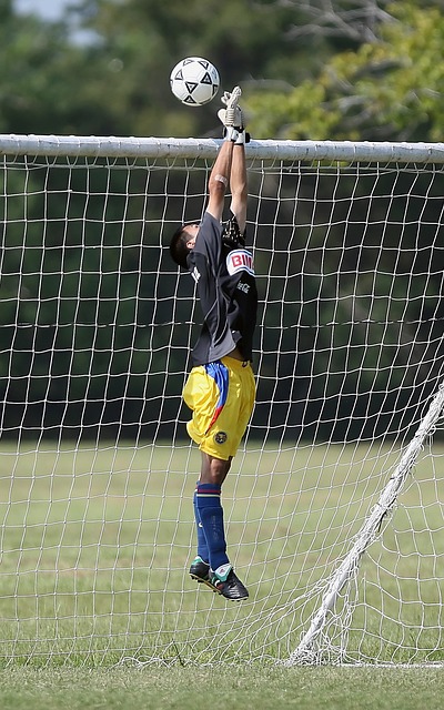 新年影集 新年影集