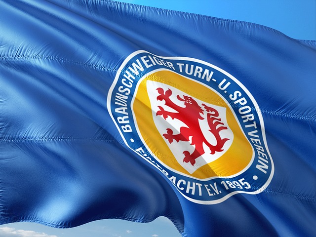 总体来看 总体来看