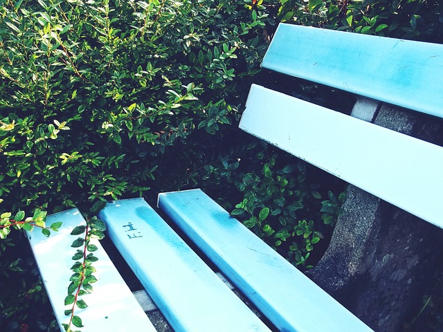 其文化影响 其文化影响